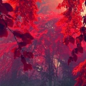 Meet your Posher, Jade